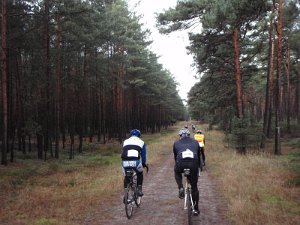 CTF Celle 029